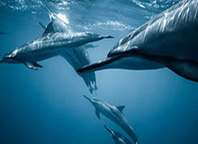 B体育app下载-不破不立 团结为先